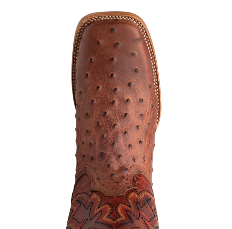 Nokota Horse Morgan 18 Ostrich Boot