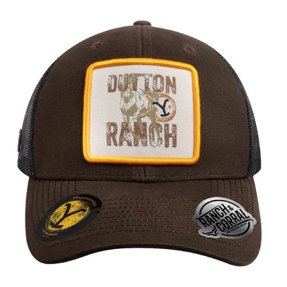 Gorra Yellowstone 25