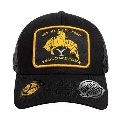 Gorra Yellowstone 31
